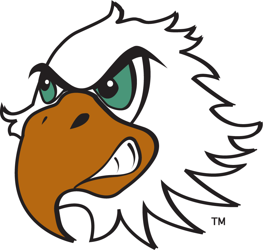 North Texas Mean Green 2003-2005 Mascot Logo v5 iron on transfers for T-shirts
